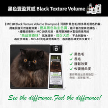 MD-10 - Black Texture Volume Shampoo 2L - Cats - MDCS-BT002L