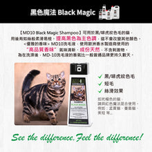MD-10 - Black Magic Hair Shampoo 750ml - Cats - MDCS-BM