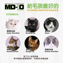 MD-10 - Biotin Vitamin B7 Shampoo 2L - Cats - MDCS-BV002L