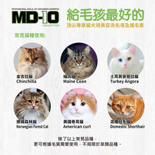 MD-10 - Texture Collagen Collagen Shampoo 2L - Cats - MDCS-TC002L