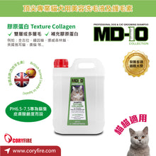 MD-10 - Texture Collagen Collagen Shampoo 2L - Cats - MDCS-TC002L