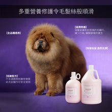 Golden Steam - Top Performance Pet Conditioner 護毛素 - 狗/貓 4L - GSCD-004L